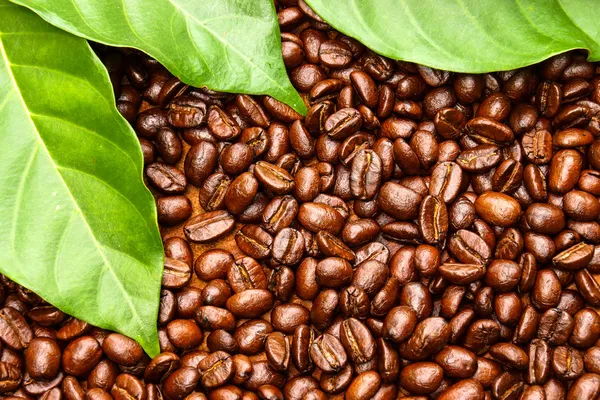 Coffee beans on the wooden background. — Stock Photo, Image