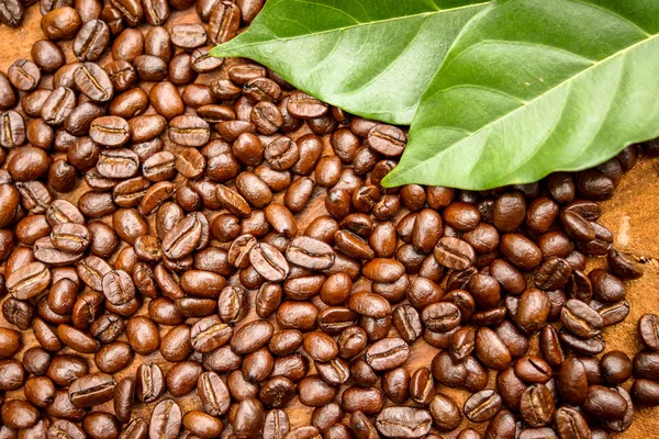 Coffee beans on the wooden background. — Stock Photo, Image