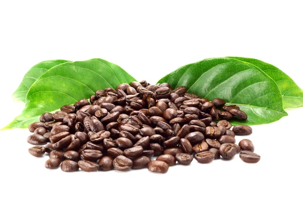 Coffee beans on the white background. — Stock Photo, Image