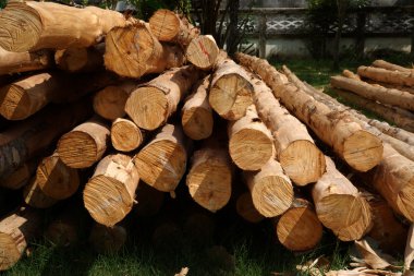 ahşap sanayi uygulamaları için.