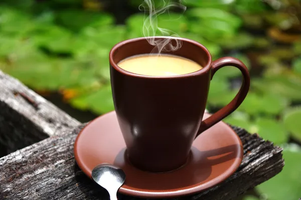 Ранкова кава в саду — стокове фото