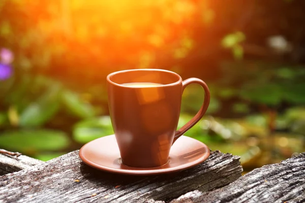 Caffè mattutino in giardino — Foto Stock