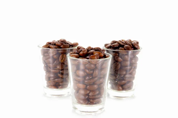 Coffee beans roasted in white background. — Stock Photo, Image