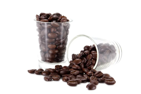 Coffee beans roasted in white background. — Stock Photo, Image