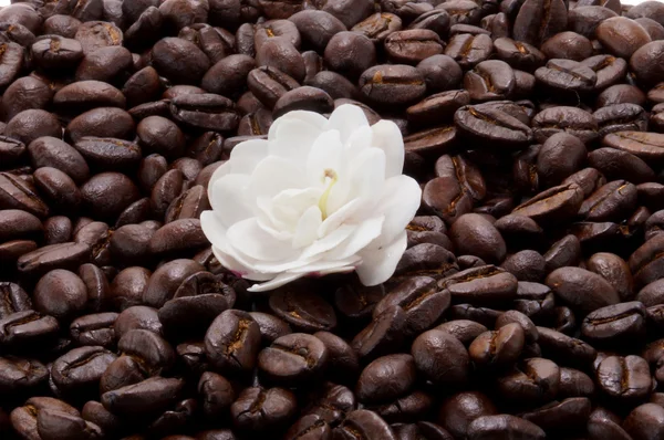 White flower and Coffee beans roasted.