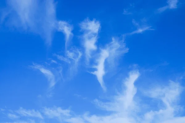 Облака в голубом небе. (Cirrus cloud ) — стоковое фото