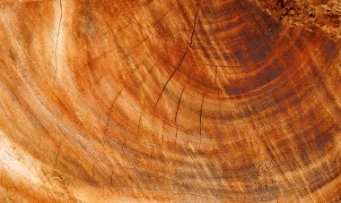 Endüstrinin güzel yüzey düzeni.