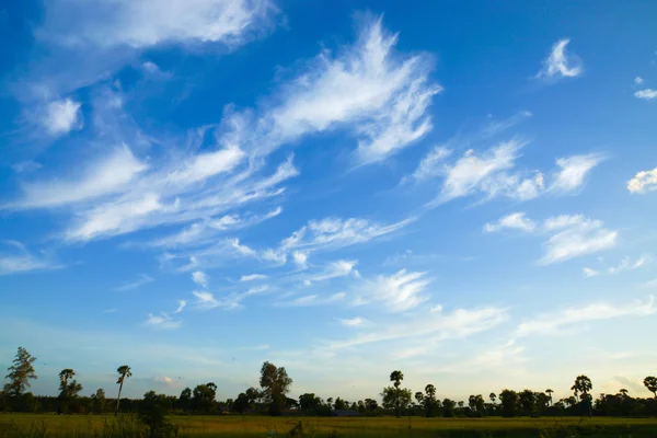 Nuvole nel cielo blu. (Nube di cirro ) — Foto Stock