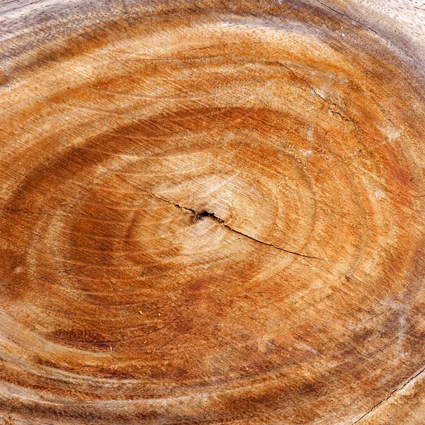 Schöne Oberflächenmuster in der Branche. — Stockfoto