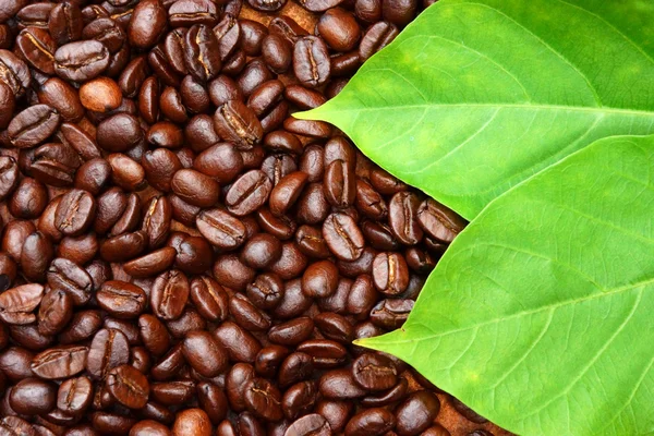 Roasted coffee beans on wood. (Arabica coffee) — Stock Photo, Image