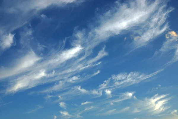 Skyer i den blå himmel. (Cirrus sky ) - Stock-foto