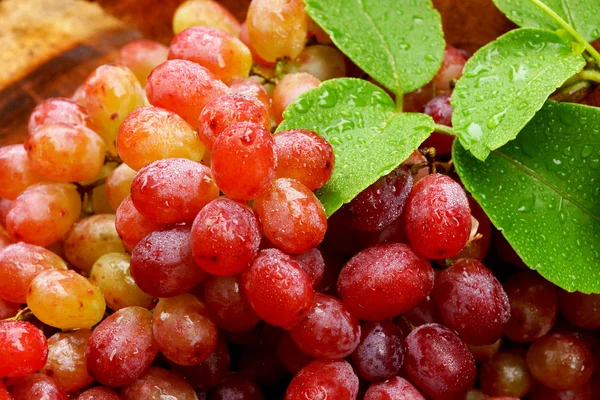 Uvas vermelhas frescas em madeira castanha . — Fotografia de Stock