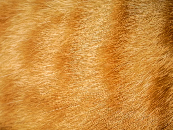 Zár megjelöl-ból egy állat színű szőr textúra — Stock Fotó