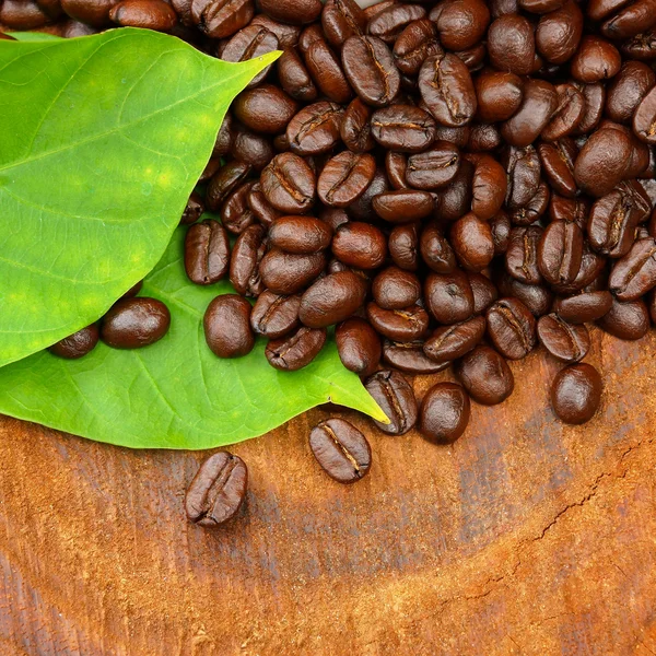 Granos de café tostados sobre madera. (café Arábica ) — Foto de Stock