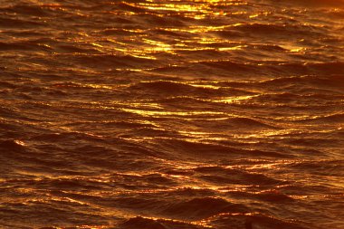 sular altın akşam güneş ışığı yansıtacak.