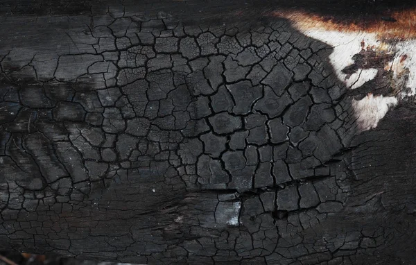 炭の表面 — ストック写真