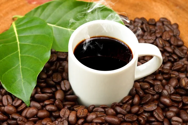 Koffie en koffie bean op hout achtergrond — Stockfoto