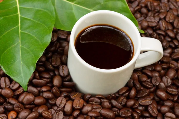 Кофе и кофейные зерна на древесном фоне — стоковое фото