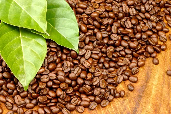 Coffee bean on wood background — стоковое фото