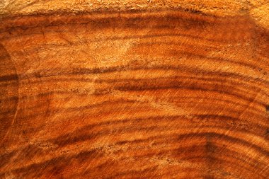 Endüstrinin güzel yüzey düzeni.