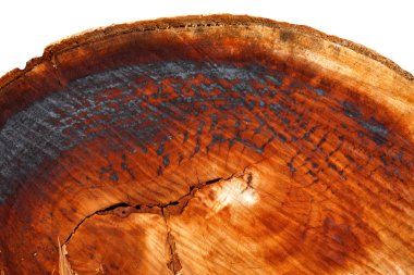 Endüstrinin güzel yüzey düzeni.