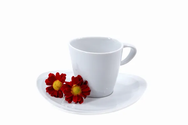 Bir fincan kahve ve kırmızı çiçek. — Stok fotoğraf