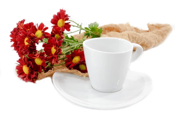 Чашка кофе и красный цветок — стоковое фото