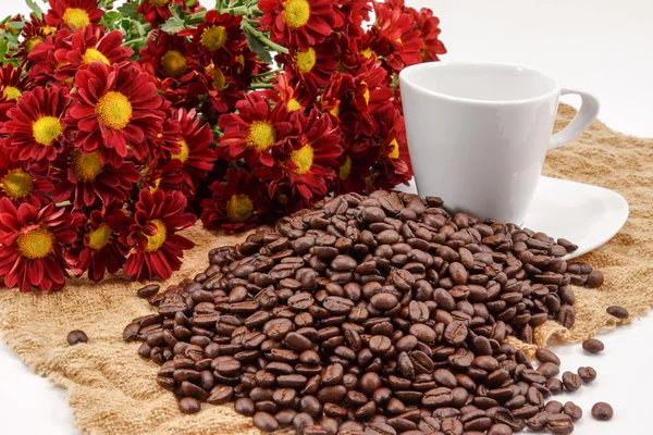 Coffee beans — Stock Photo, Image