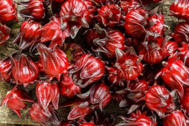 Hibiscus sabdariffa veya roselle meyve