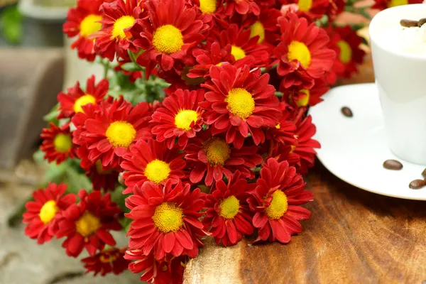 Flor de crisântemo vermelho (Dendranthemum grandifflora .) — Fotografia de Stock