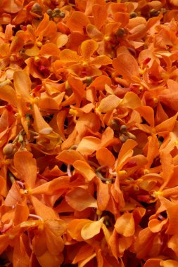 Düğün töreninde çiçek aranjmanı