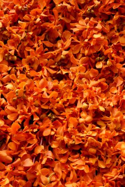 Düğün töreninde çiçek aranjmanı