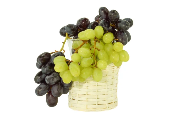 Grape isolated on white background. — Stock Photo, Image