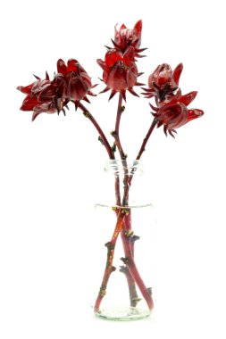 Hibiscus sabdariffa veya roselle meyve