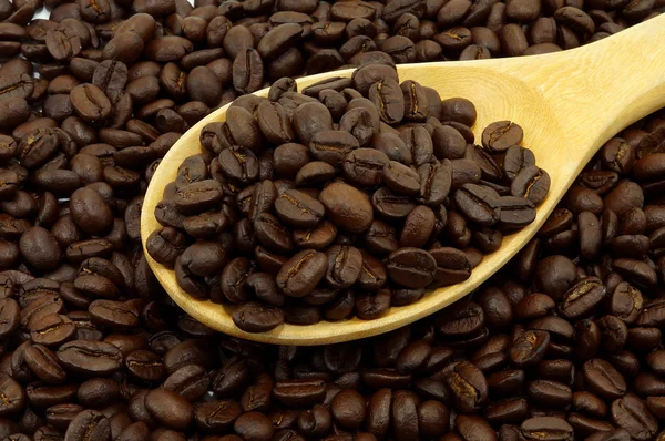 Coffee beans — Stock Photo, Image