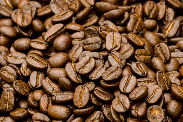 Coffee beans on the wooden — Stock Photo, Image