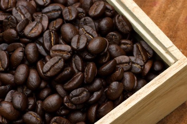 Grains de café sur le bois — Photo