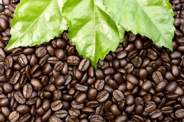 Roasted coffee beans. — Stock Photo, Image