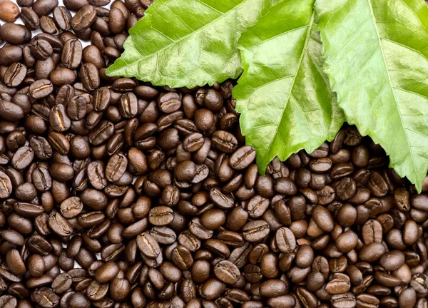 Torrado grãos de café. — Fotografia de Stock