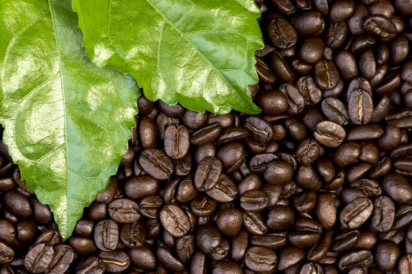 Roasted coffee beans. — Stock Photo, Image