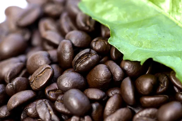 Roasted coffee beans. — Stock Photo, Image