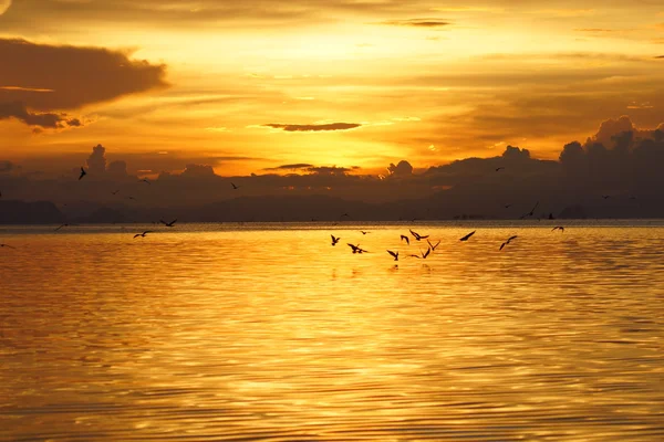 Tramonto al lago e rondini . — Foto Stock