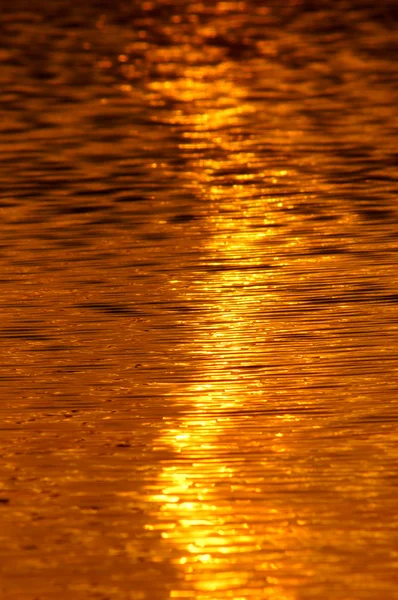 A tó naplemente tükre. — Stock Fotó