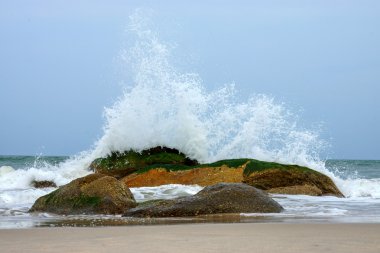 ondes dans la saison de la mousson.