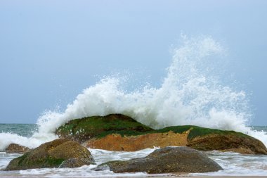 ondes dans la saison de la mousson.