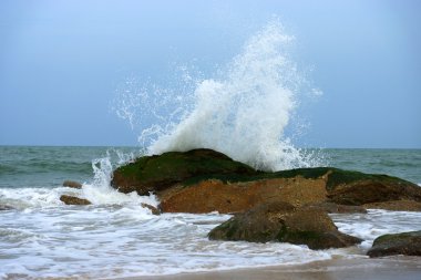 ondes dans la saison de la mousson.