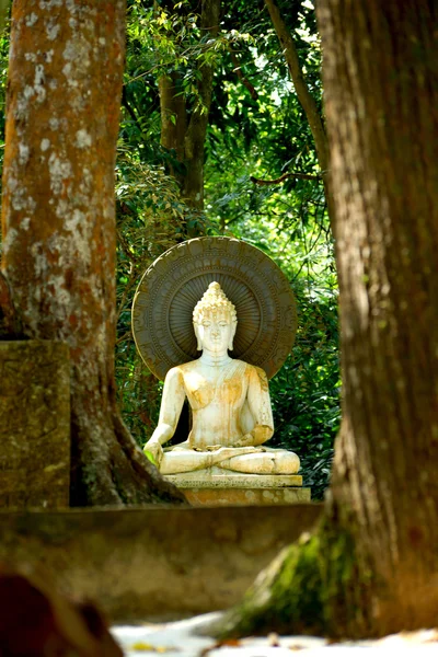 Vit buddha statyer. meditera och koppla av. — Stockfoto