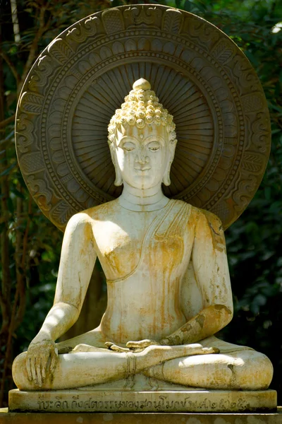 Λευκό αγάλματα του Βούδα. διαλογίζεται και να χαλαρώσετε. — Φωτογραφία Αρχείου