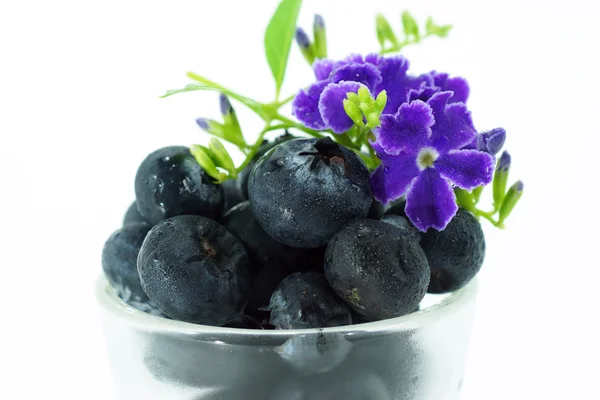 Blaubeeren mit Blättern auf weißem Hintergrund — Stockfoto