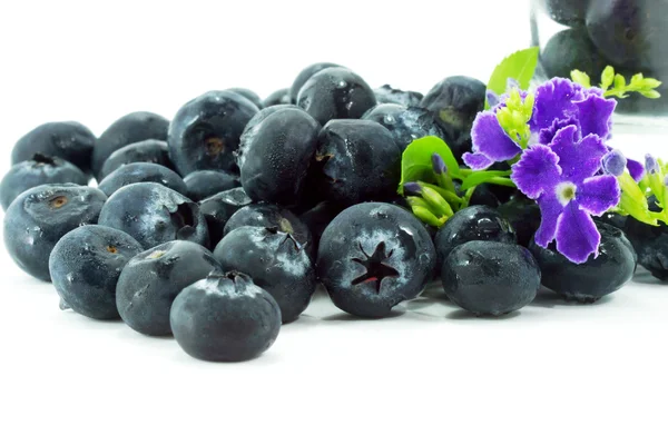 Blueberries with leaves on white background — Stock Photo, Image